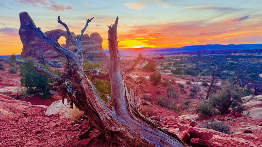 Arches Sunset