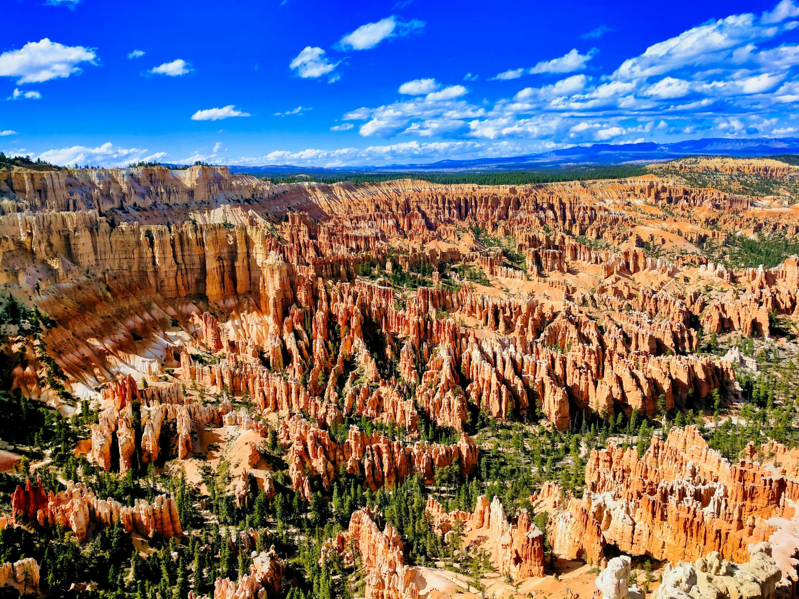Bryce Canyon in Summer