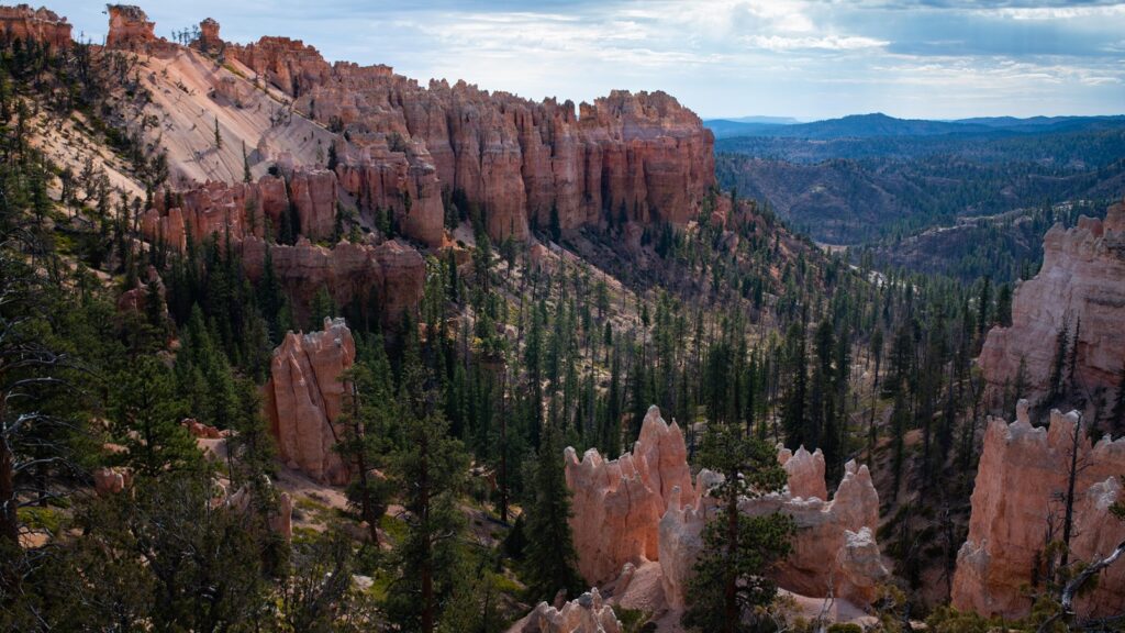 Swamp Canyon