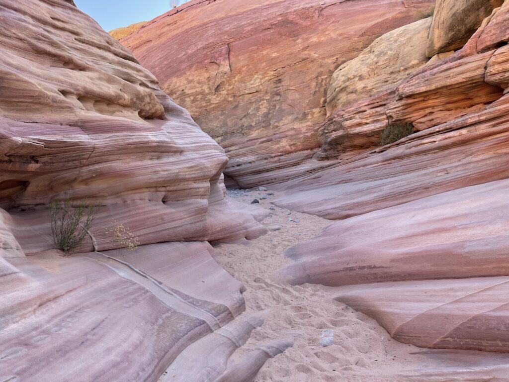 Pink Pastel Trail