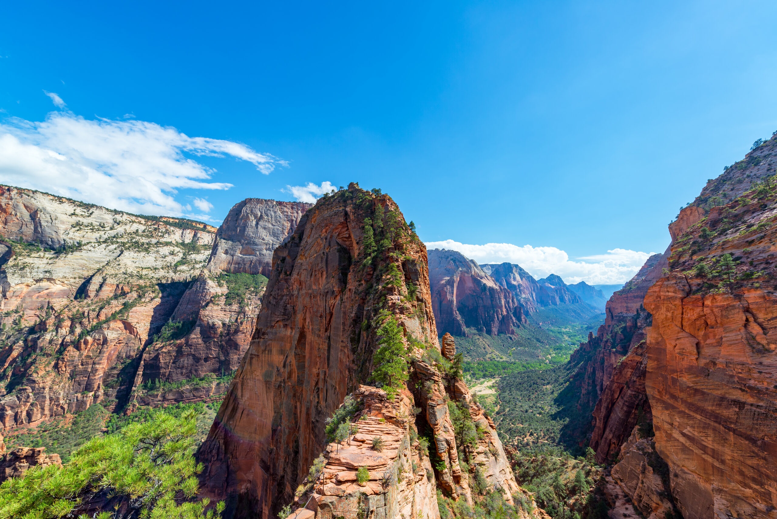 Zion National Park Ultimate Guide PDF by Adventure Family Vlog