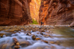 Angels Landing vs. The Narrows: Which Zion Hike Should You Do?