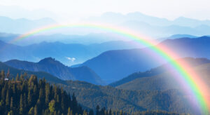 A Complete Guide to Visiting Great Smoky Mountains National Park