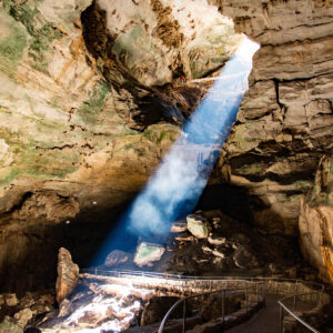 Carlsbad Caverns National Park Guide 2026 digital PDF featuring the Big Room, Natural Entrance Trail, timed-entry reservations, bat flight program, ranger tours, pets, and family tips
