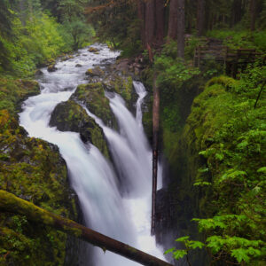 The Ultimate Olympic National Park 39-Page PDF Guide