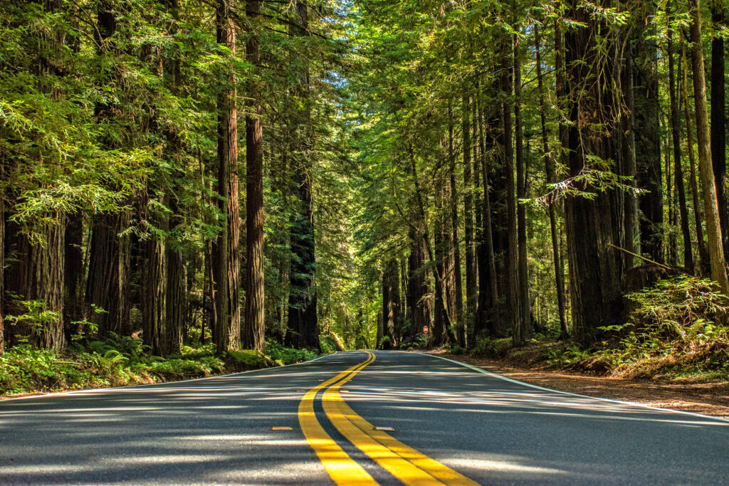 California road trip itinerary through Death Valley, Joshua Tree, Sequoia, Kings Canyon, and Yosemite National Parks