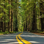 California road trip itinerary through Death Valley, Joshua Tree, Sequoia, Kings Canyon, and Yosemite National Parks