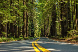 California road trip itinerary through Death Valley, Joshua Tree, Sequoia, Kings Canyon, and Yosemite National Parks