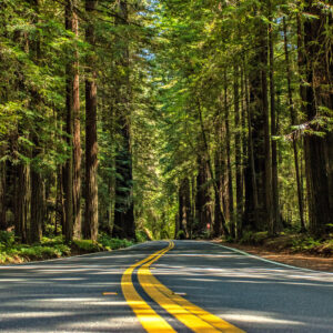 California road trip itinerary through Death Valley, Joshua Tree, Sequoia, Kings Canyon, and Yosemite National Parks