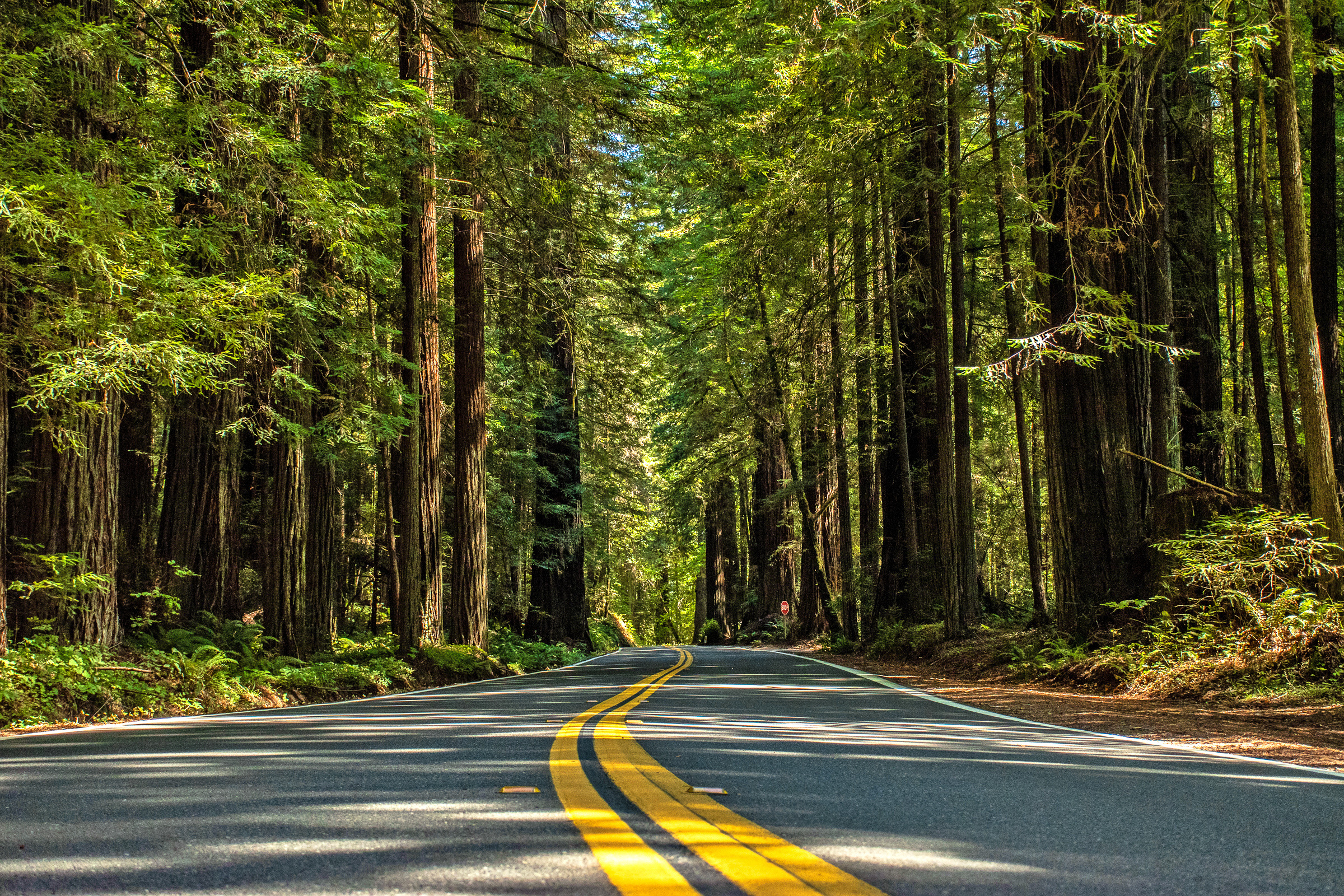 California road trip itinerary through Death Valley, Joshua Tree, Sequoia, Kings Canyon, and Yosemite National Parks